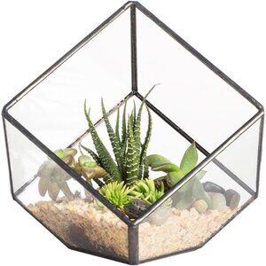 NCYP 3.93 Inches Geometric Glass Terrarium, Small Inclined Cube Clear